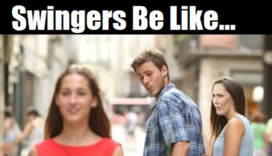 Collection of funny swinger memes and cartoons